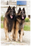 Rencontre Killeen et Gordon