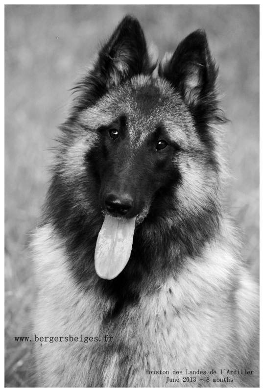 Houston — June 2013, 8 months