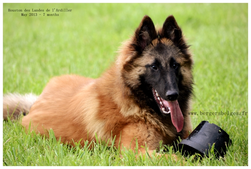 Houston — May 2013, 7 months