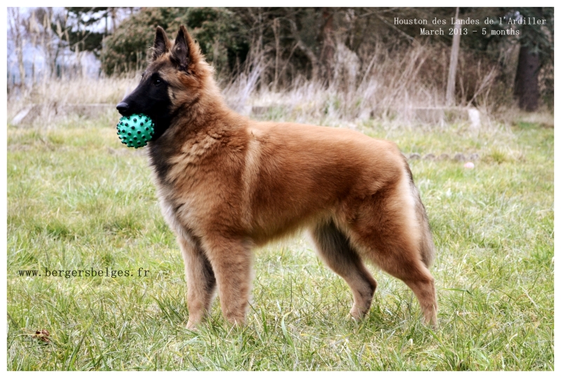 Houston — March 2013, 5 months