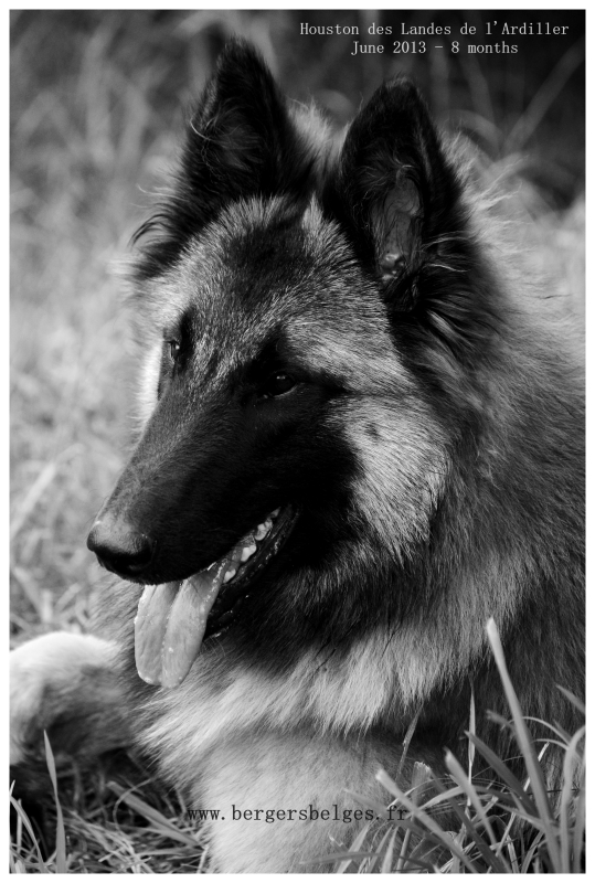 Houston — June 2013, 8 months