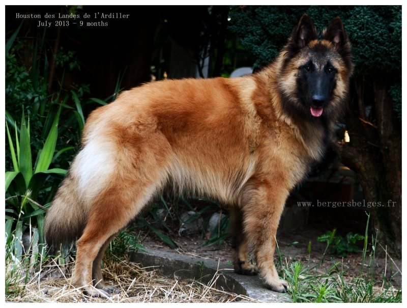 Houston — July 2013, 9 months