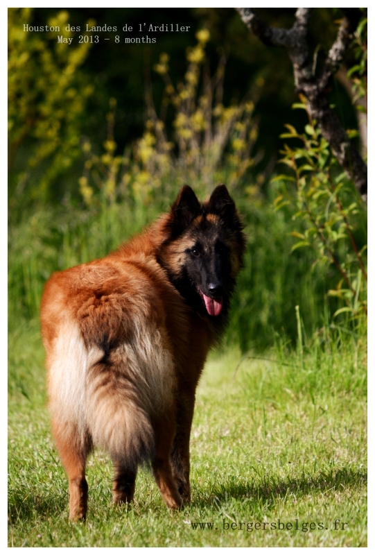 Houston — May 2013, 8 months