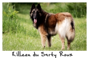 Killeen du Sarty Roux